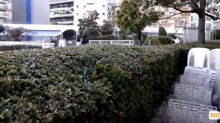 亚洲av熟女高潮一区二区|亚洲精品99久久久久中文字幕